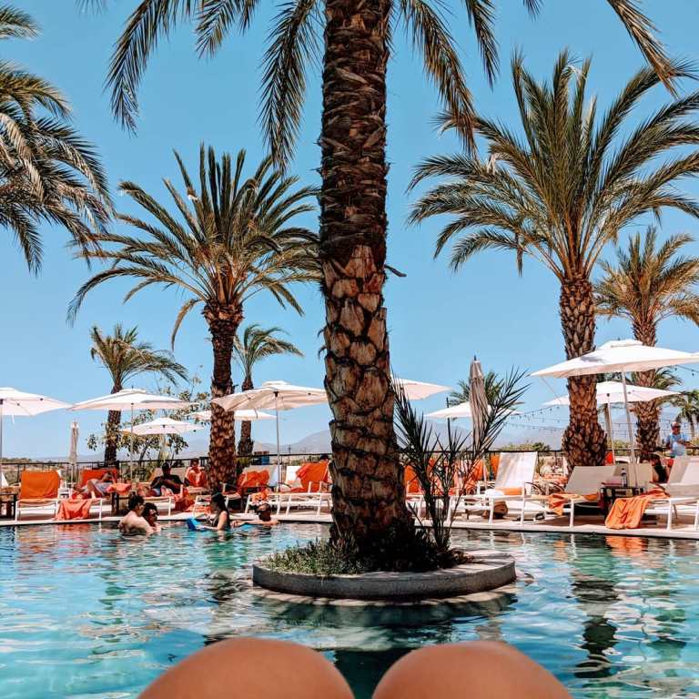 33854368_10160600622510284_6293629807502557184_o