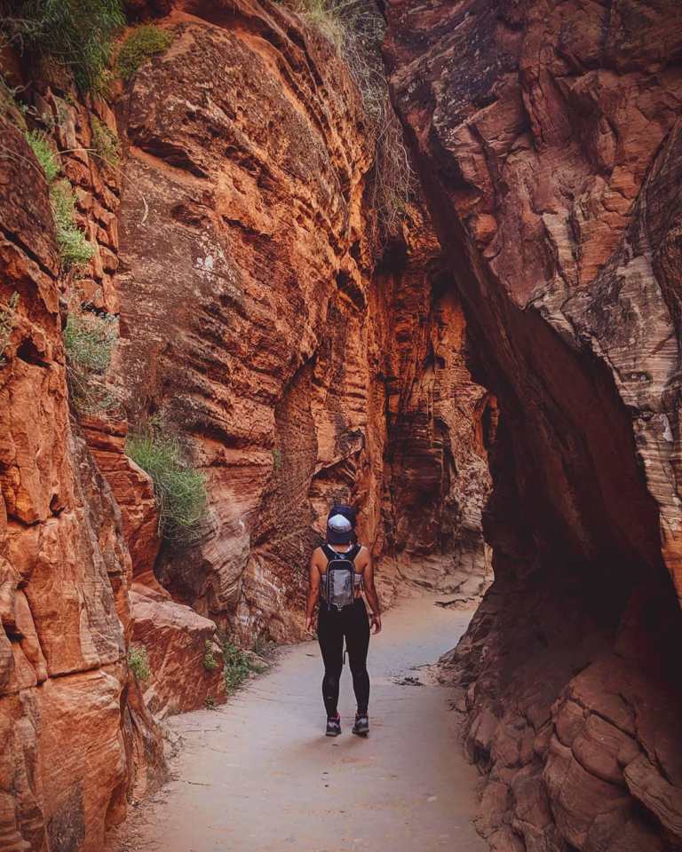 67777751_10162354326300284_5322419031930568704_o