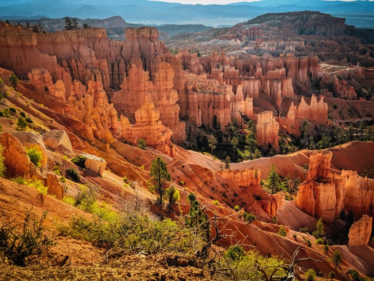 IMG_20190726_102532_328